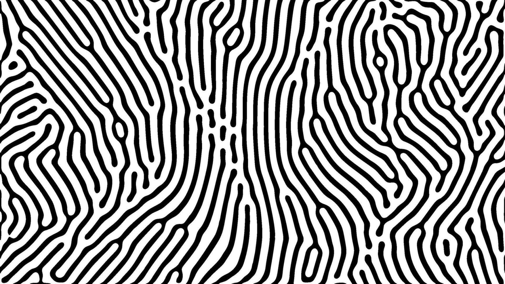 Black and white optical art with symmetrical curved lines vector