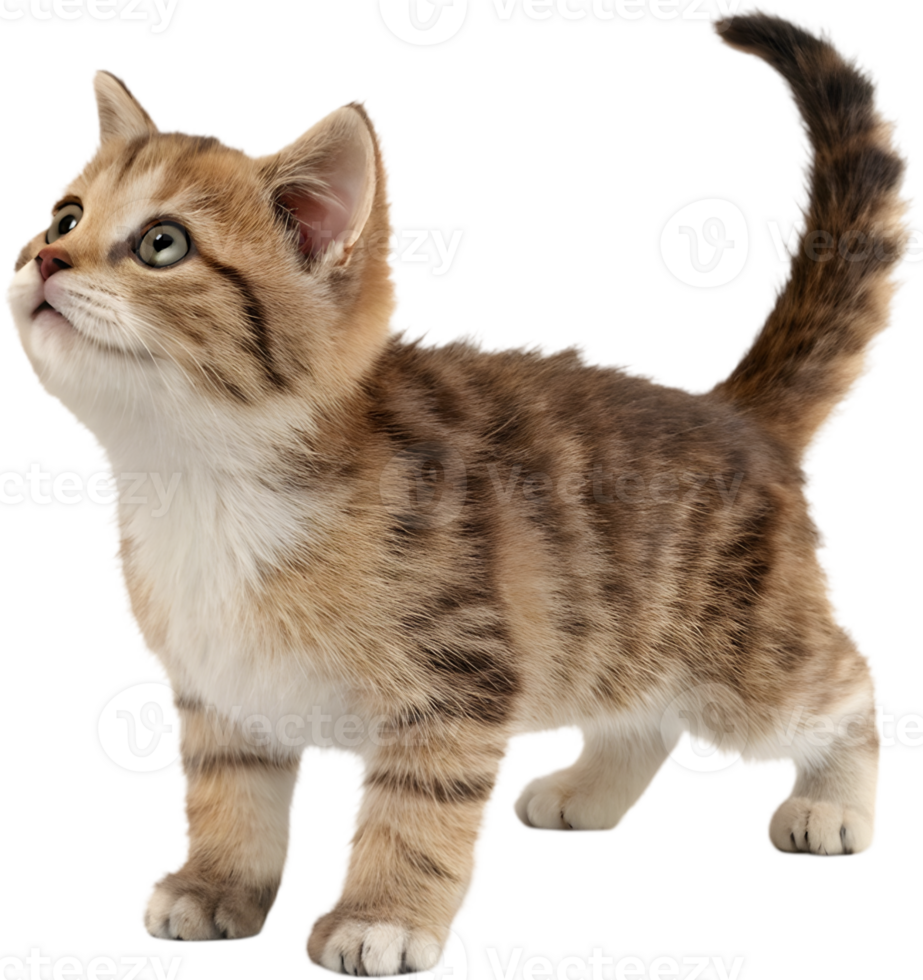 Cute Munchkin Cat Clipart for Christmas Crafting Fun. . png