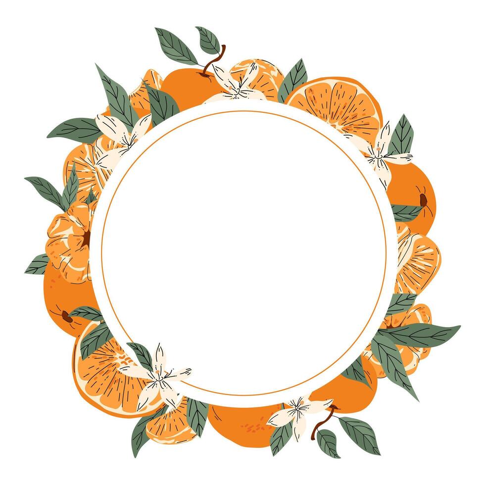 Round frame wreath of tangerines, leaves and flowers. Ripe fresh fruit, circular arrangement on white background vector