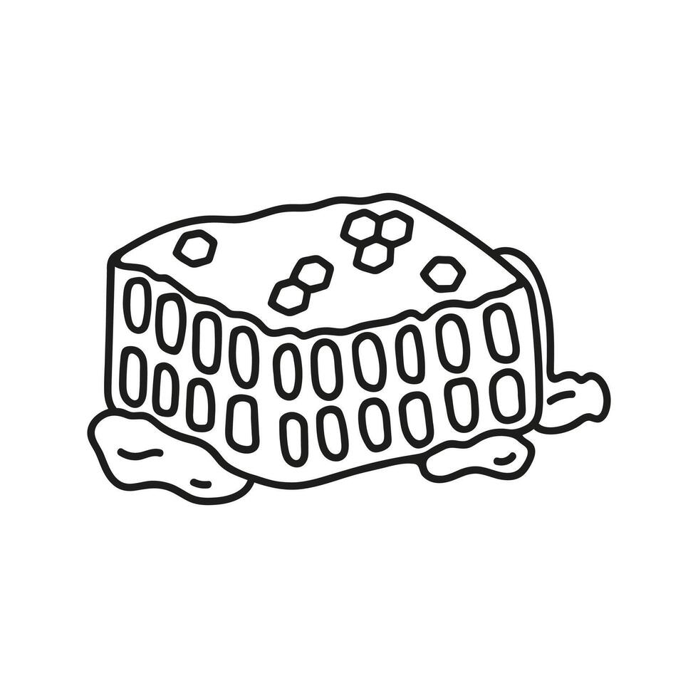 Honeycomb with dripping liquid honey. Hand drawn doodle illustration. vector