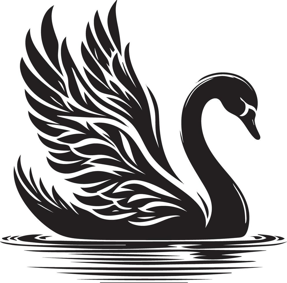 Black and white swan swiming on water vector