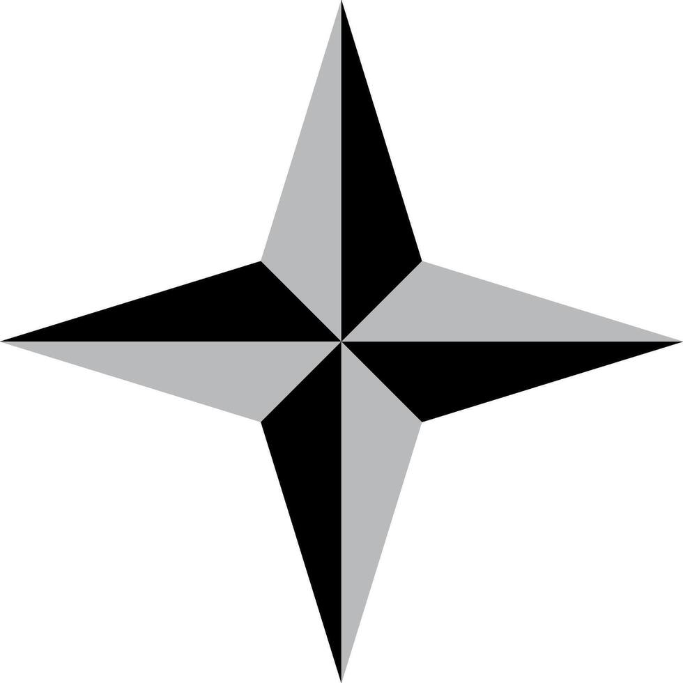 A four pointed star of grey color vector