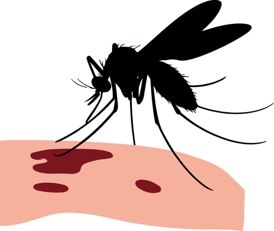 mosquito silhouette illustration vector