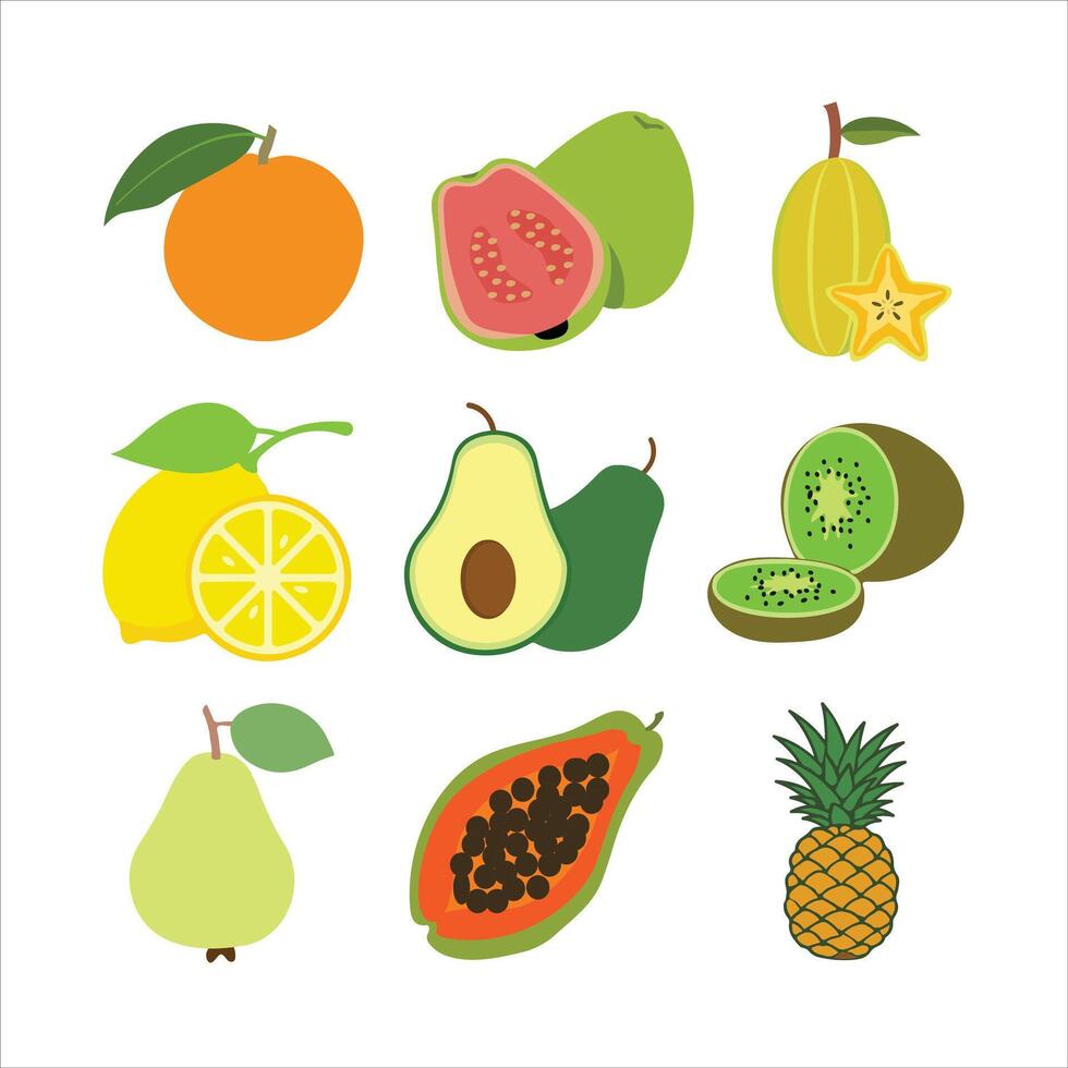 illustration of a collection of different varieties of fruits. vector
