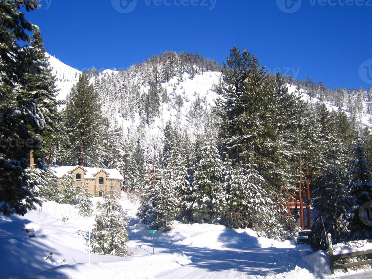 Snowy Mountain Landscape with Larch Trees Under Freezing Sky photo