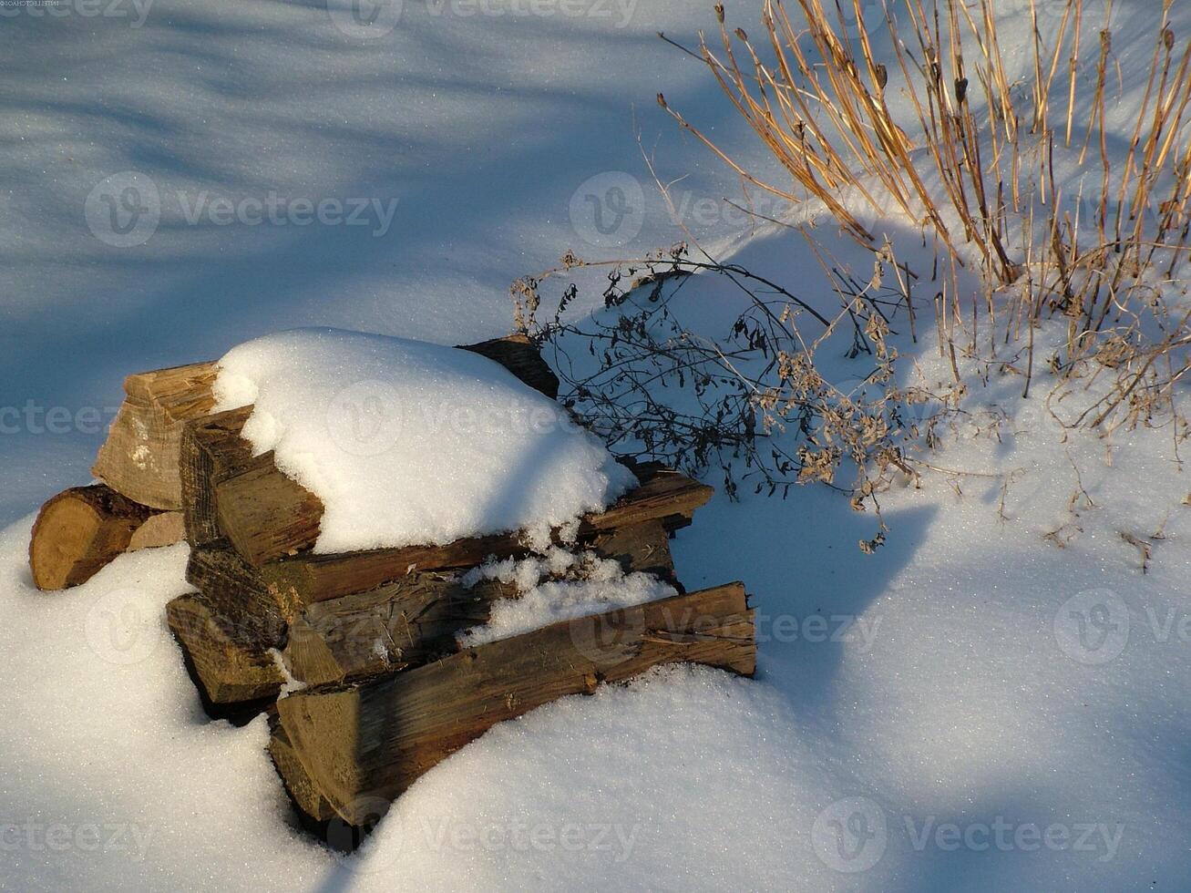 Snowy Twig on Ice-Capped Winter Landscape photo