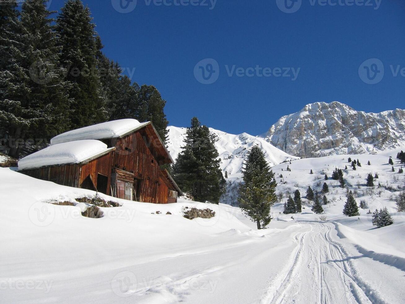 Snowy Mountain Landscape with Trees and a House by a Window photo