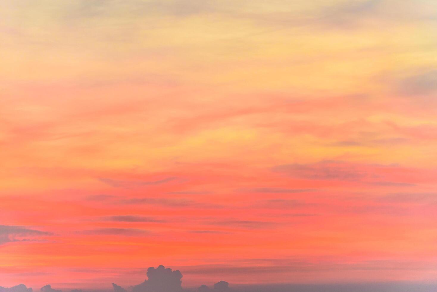 A man is flying a kite in the sky photo