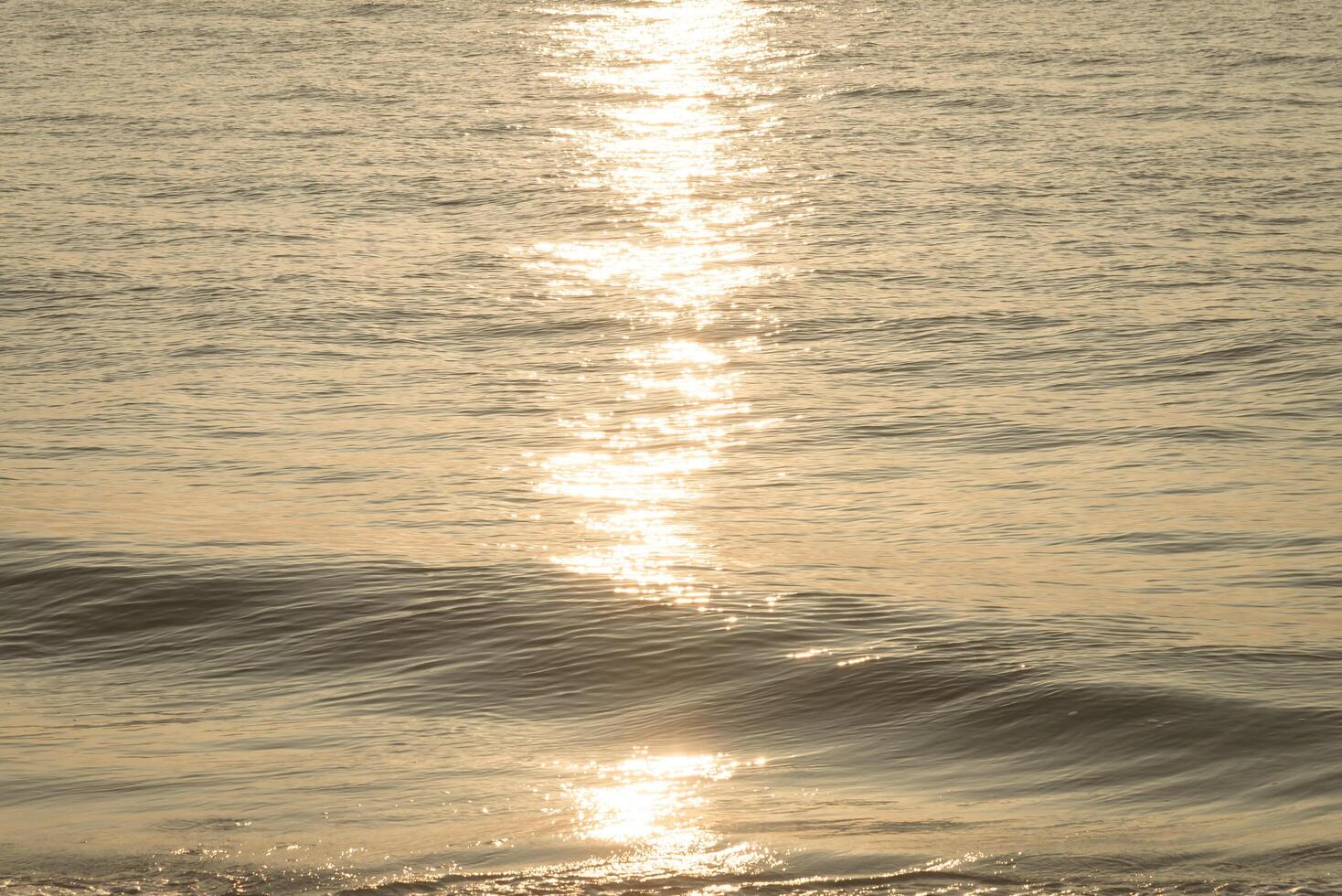 A person on a surfboard riding the waves at the beach photo