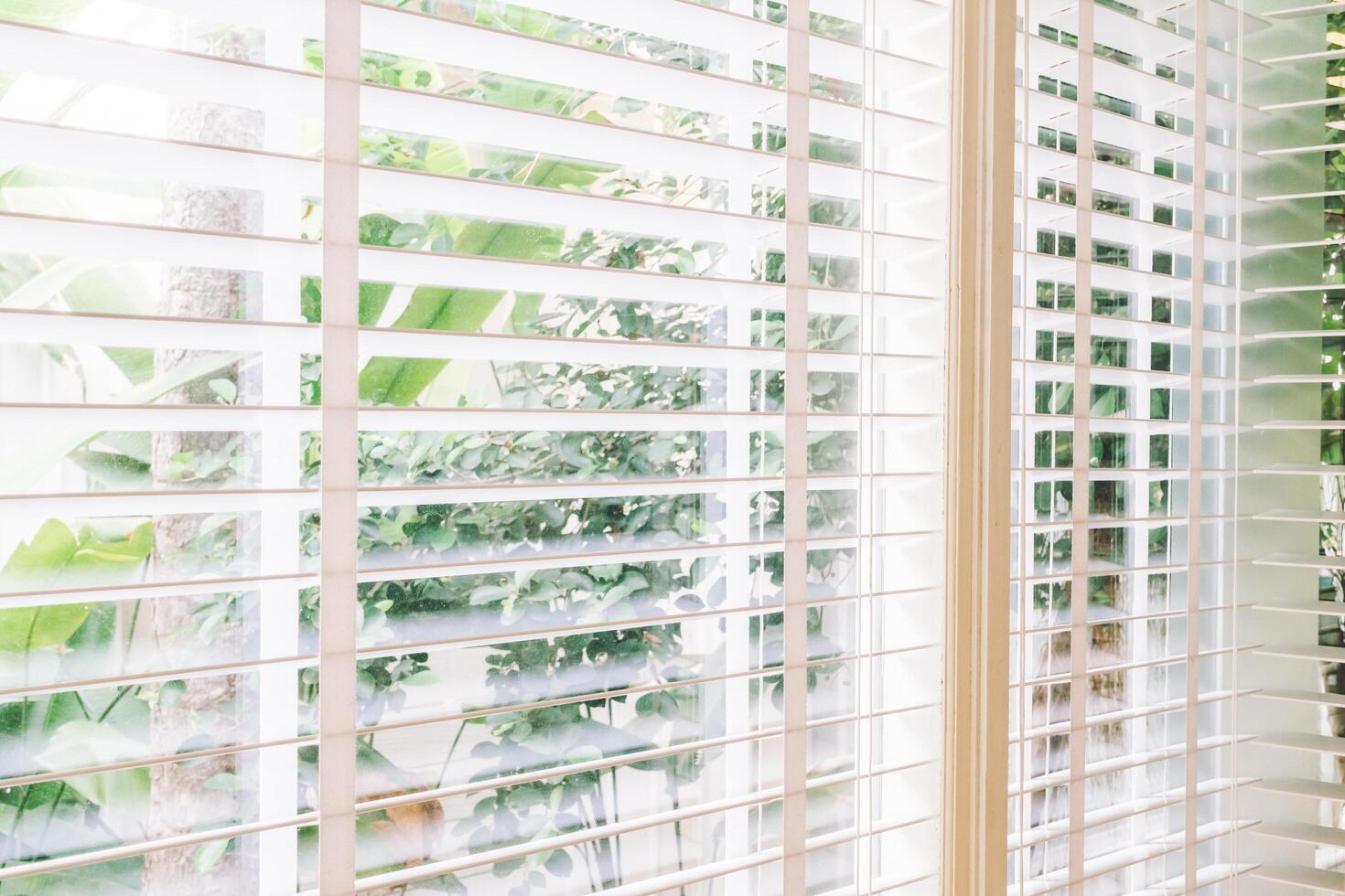 A window with blinds and plants in the background photo