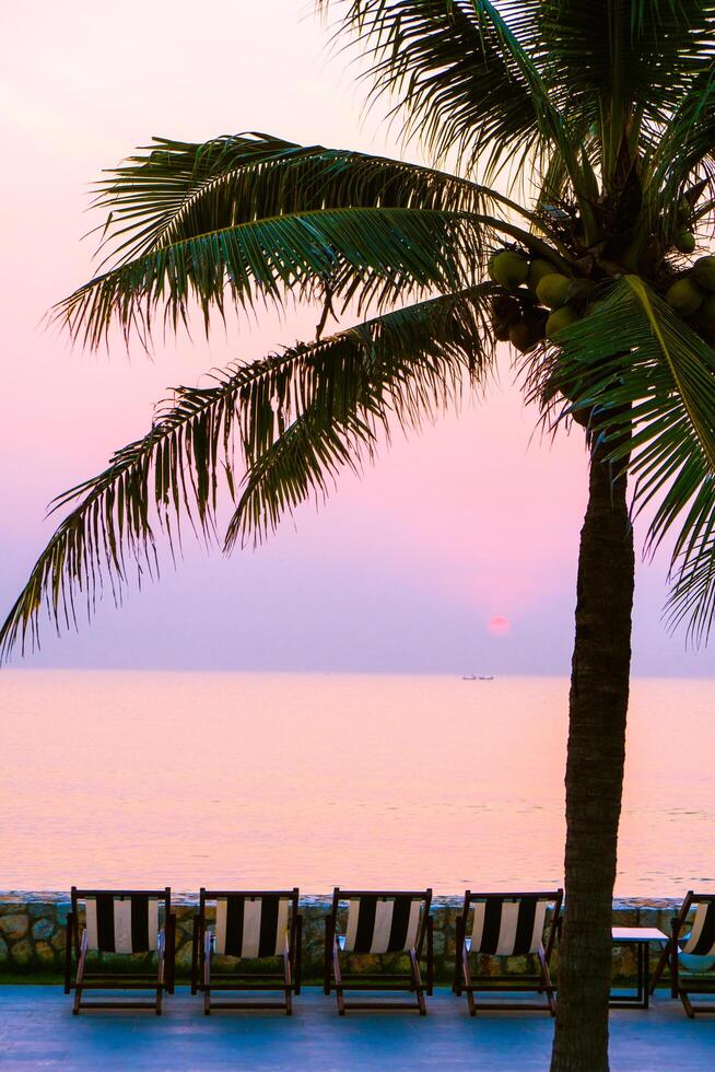 A beach with lounge chairs and a palm tree photo