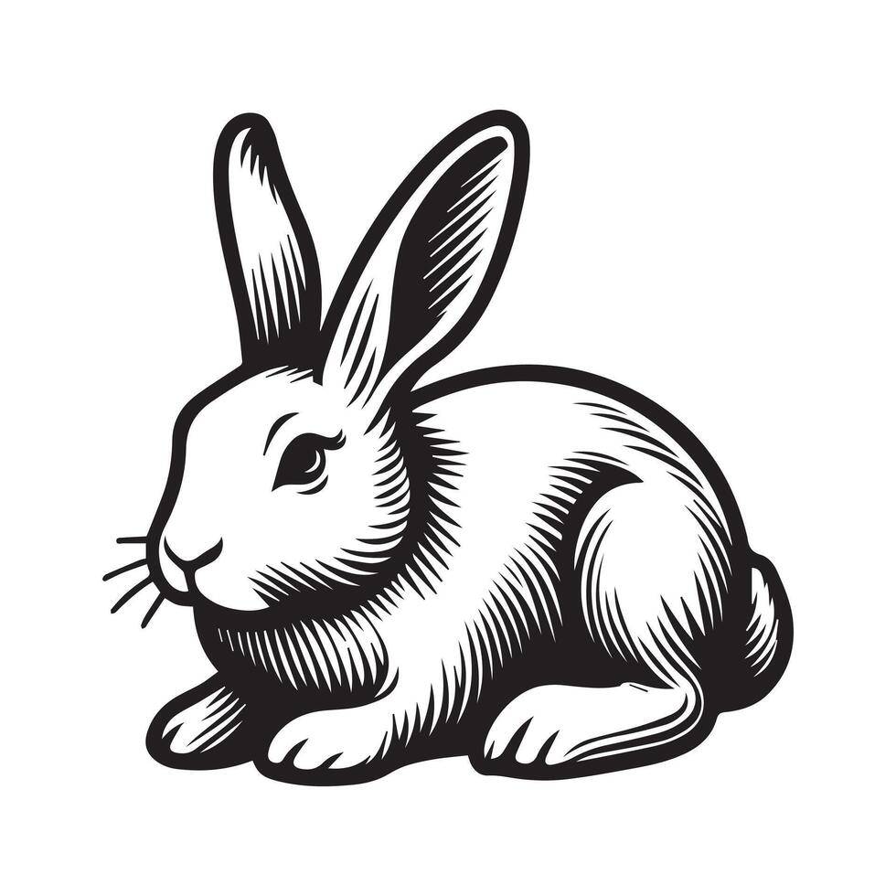a black and white image of a rabbit sitting down vector