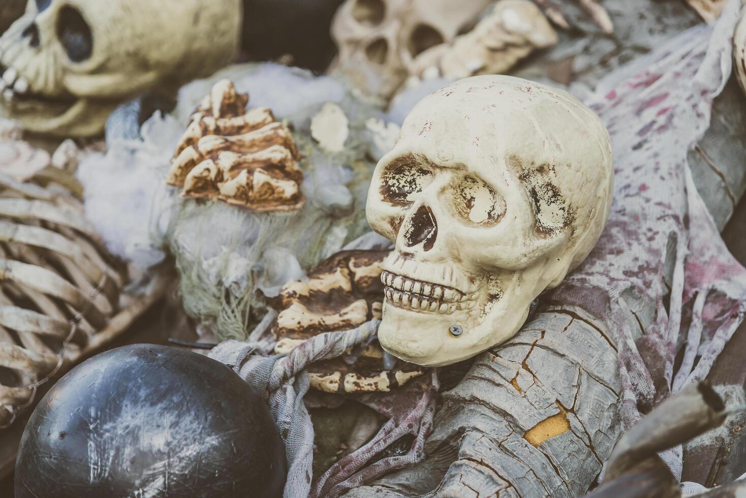 A pile of skulls and other bones photo