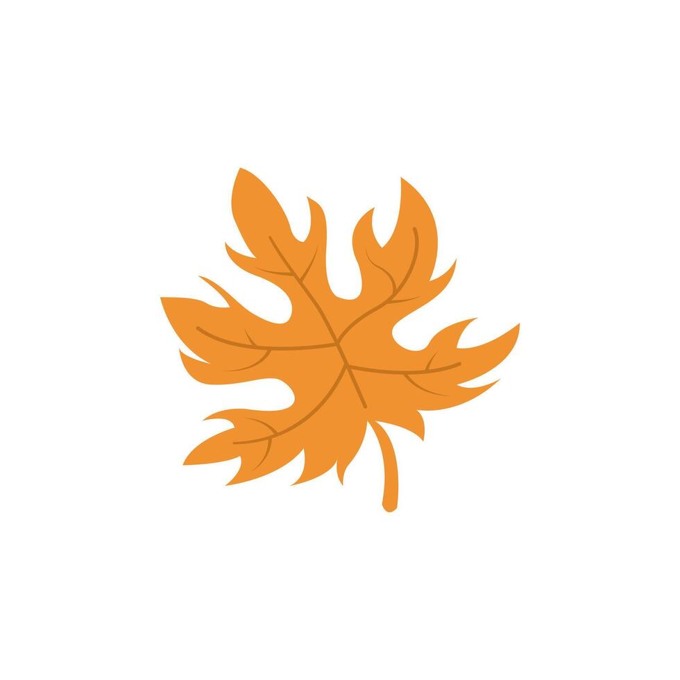 Maple leaf isolated. Thanksgiving concept. vector