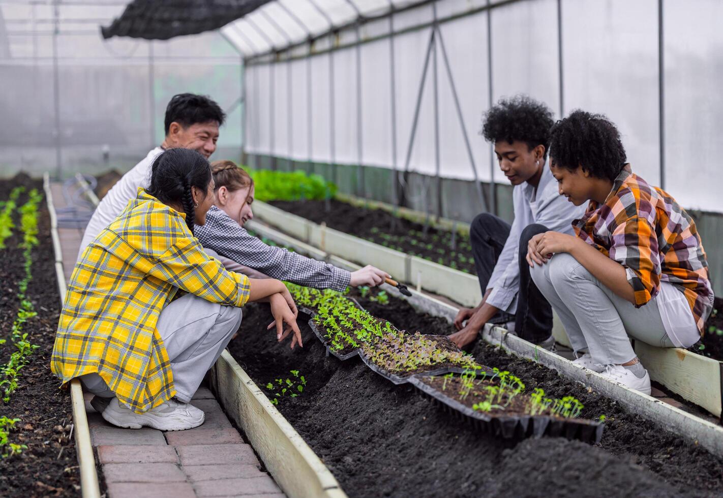 group of young school teenager learning agricultural in plant vegetable nursery agriculture farm gardening in greenhouse photo