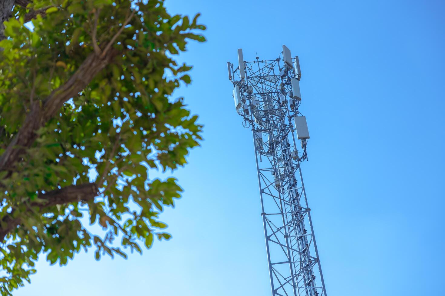 outdoors 5g communication tower digital wireless radio signal long range transmission cell site on blue sky with green tree photo