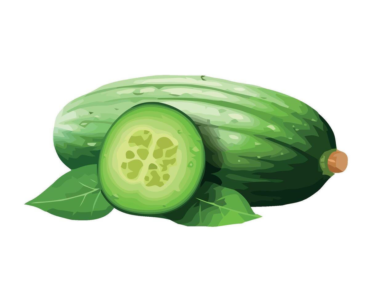 Fresh organic cucumber slice, perfect for snacking icon isolated vector