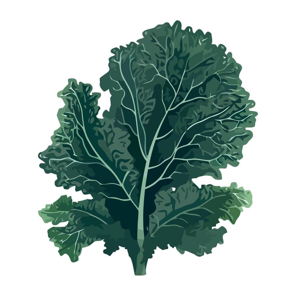 Fresh vegetarian salad with organic leaf vegetables icon isolated vector
