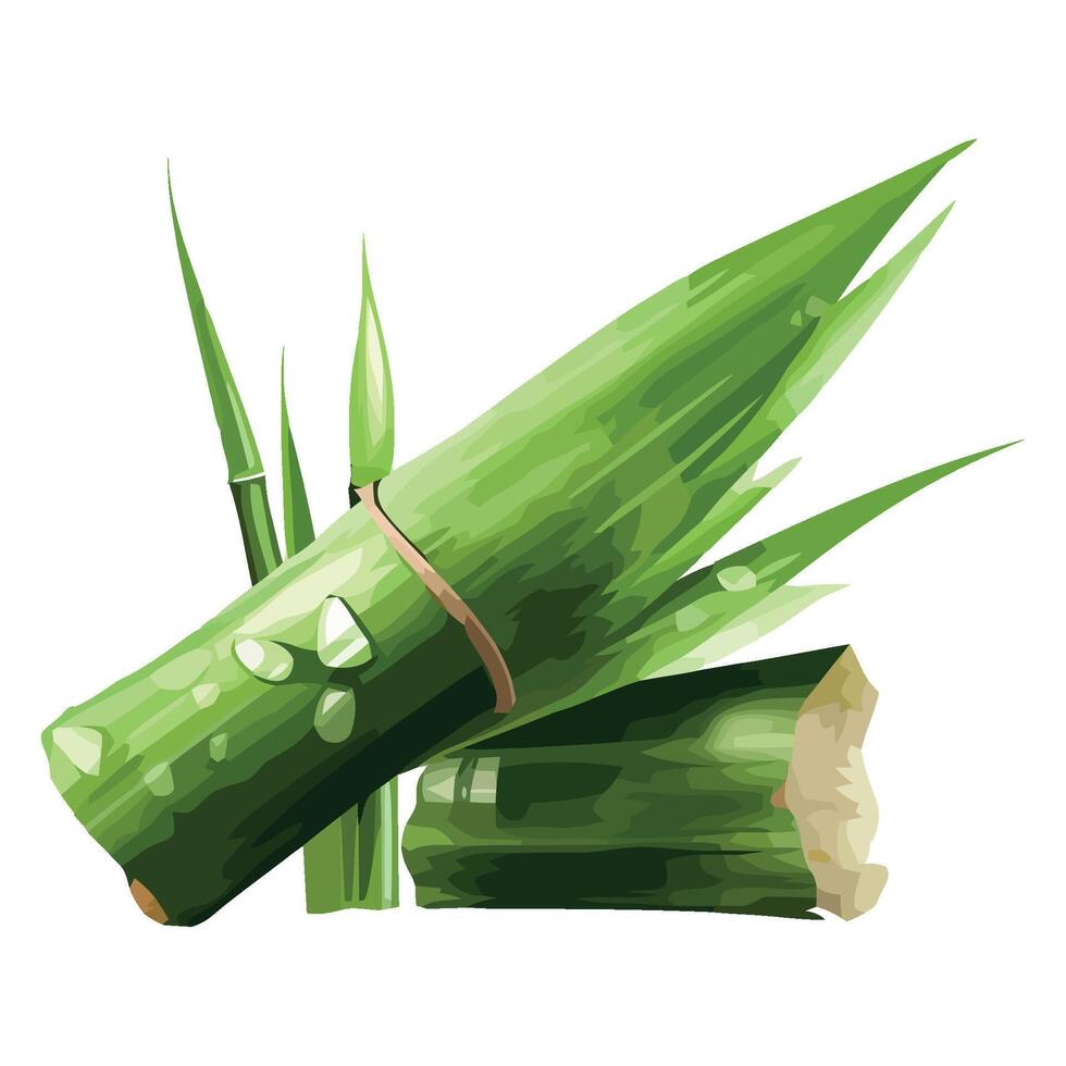 Green leaves of nature growth in summer icon isolated vector