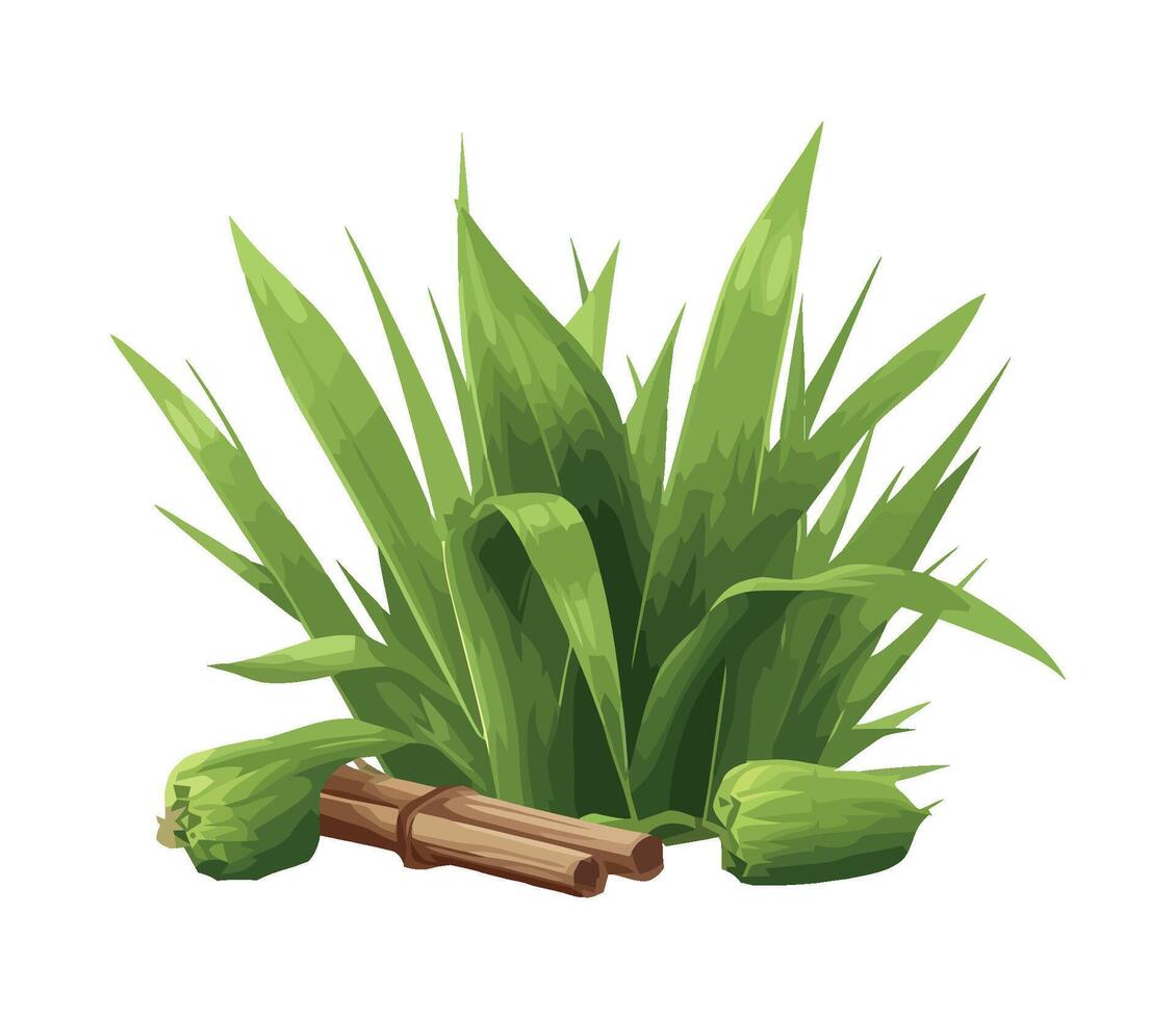 Green bamboo and leaves nature freshness icon isolated vector