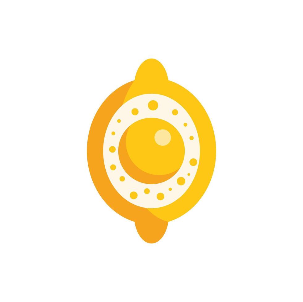 Stylized lemon fruit icon showing segments and seed vector