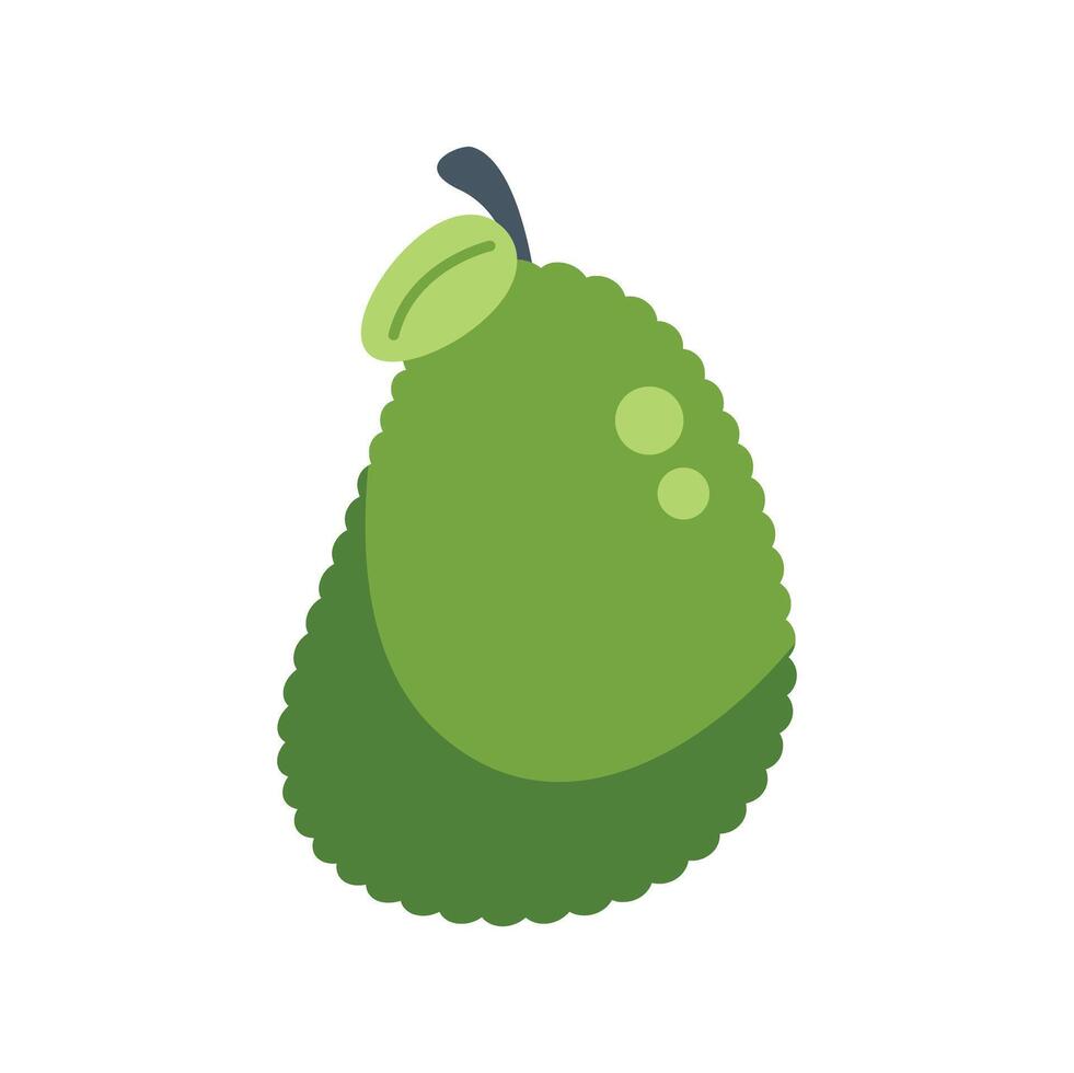 Green jackfruit showing its seeds illustration vector