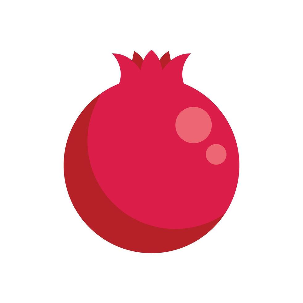 Ripe red pomegranate fruit minimalist illustration on white background vector