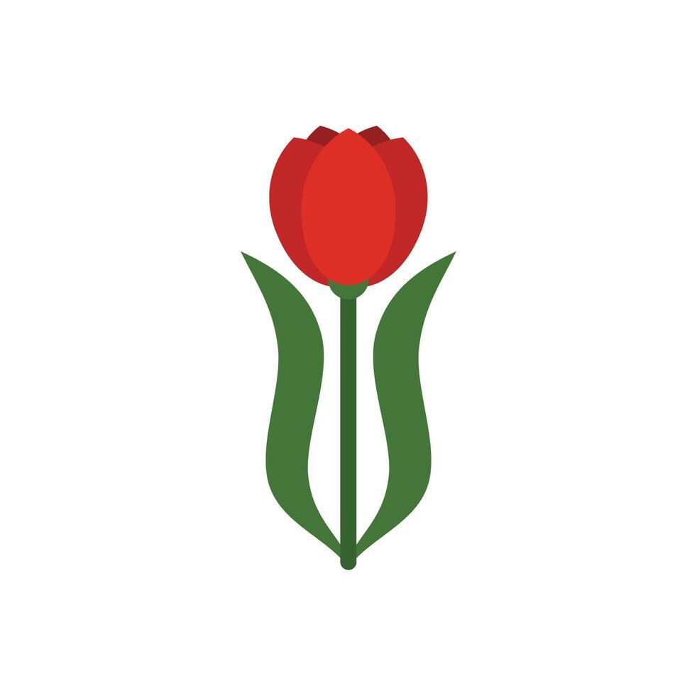 Red tulip blooming with green leaves icon vector
