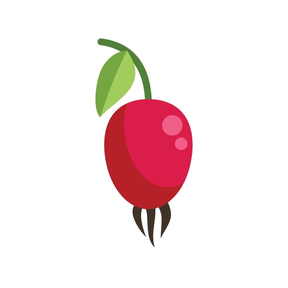 Red rosehip berry hanging from green stalk with leaf cartoon style illustration vector