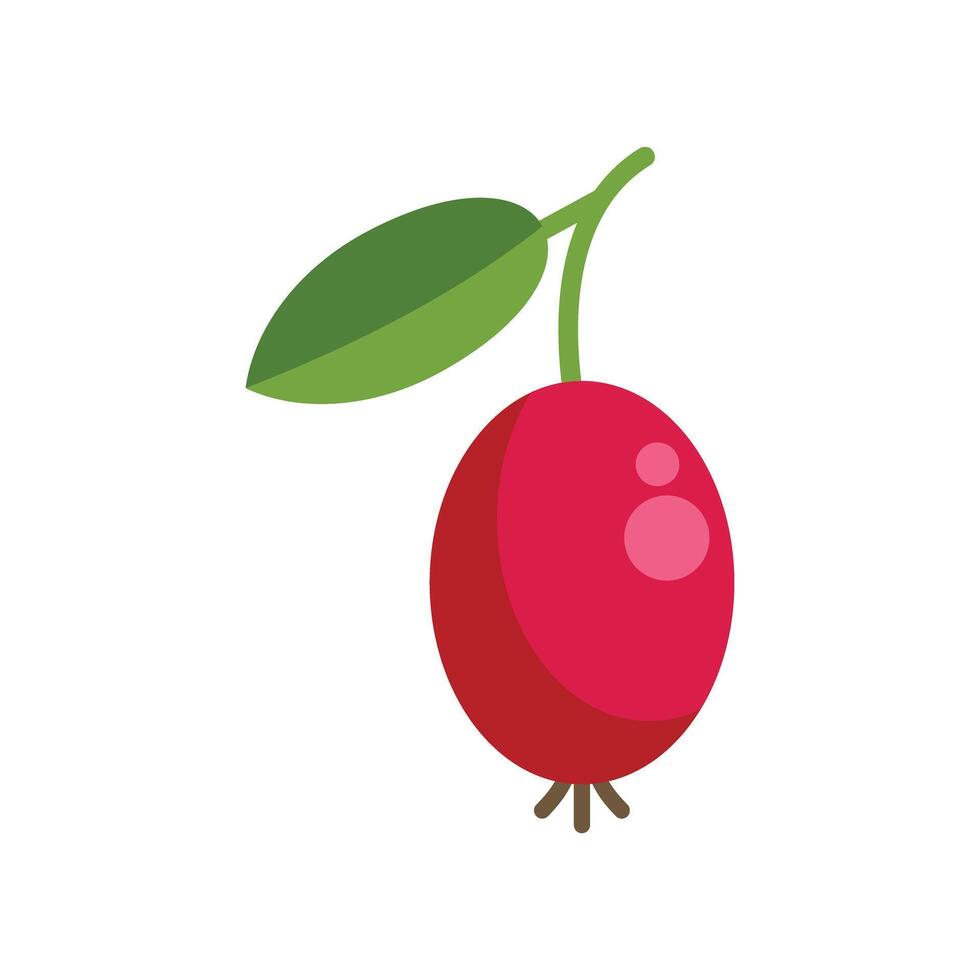 Ripe red berry hanging from branch with leaf illustration vector