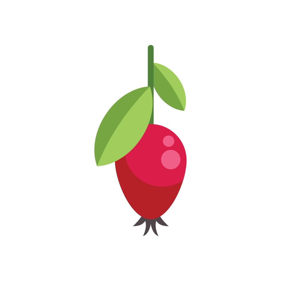 Red rosehip berry hanging from stem with leaves illustration vector