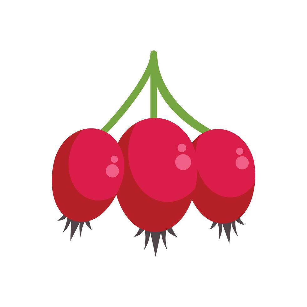 Three red berries hanging from branch minimalist illustration vector