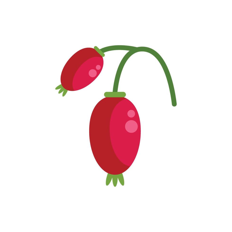 Red rose hips hanging on green stem illustration vector