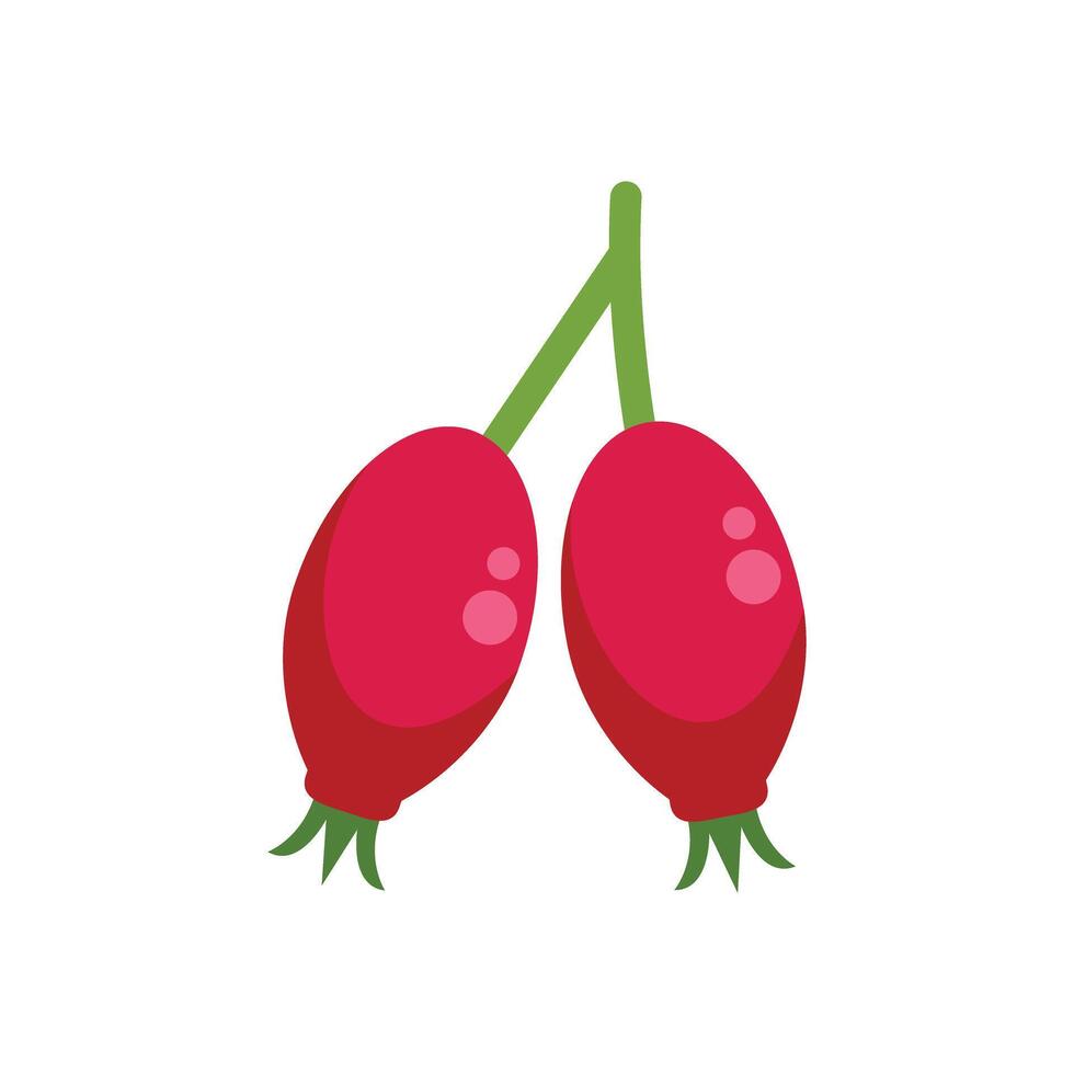 Two ripe rose hips hanging on green twig illustration vector