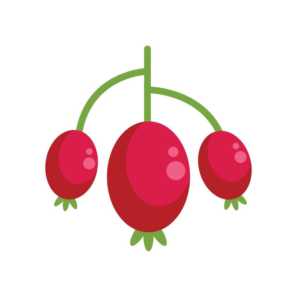 Three red berries hanging from green stem illustration vector
