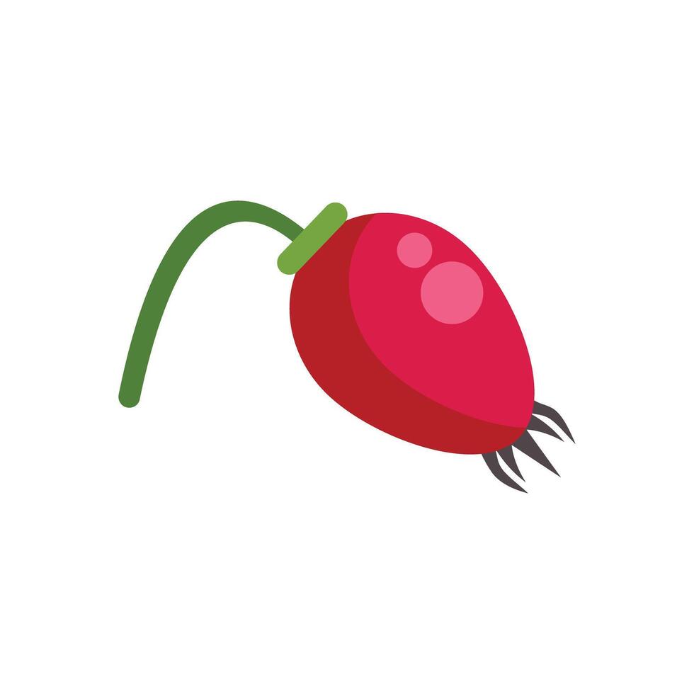 Red rosehip berry hanging on a green stem vector