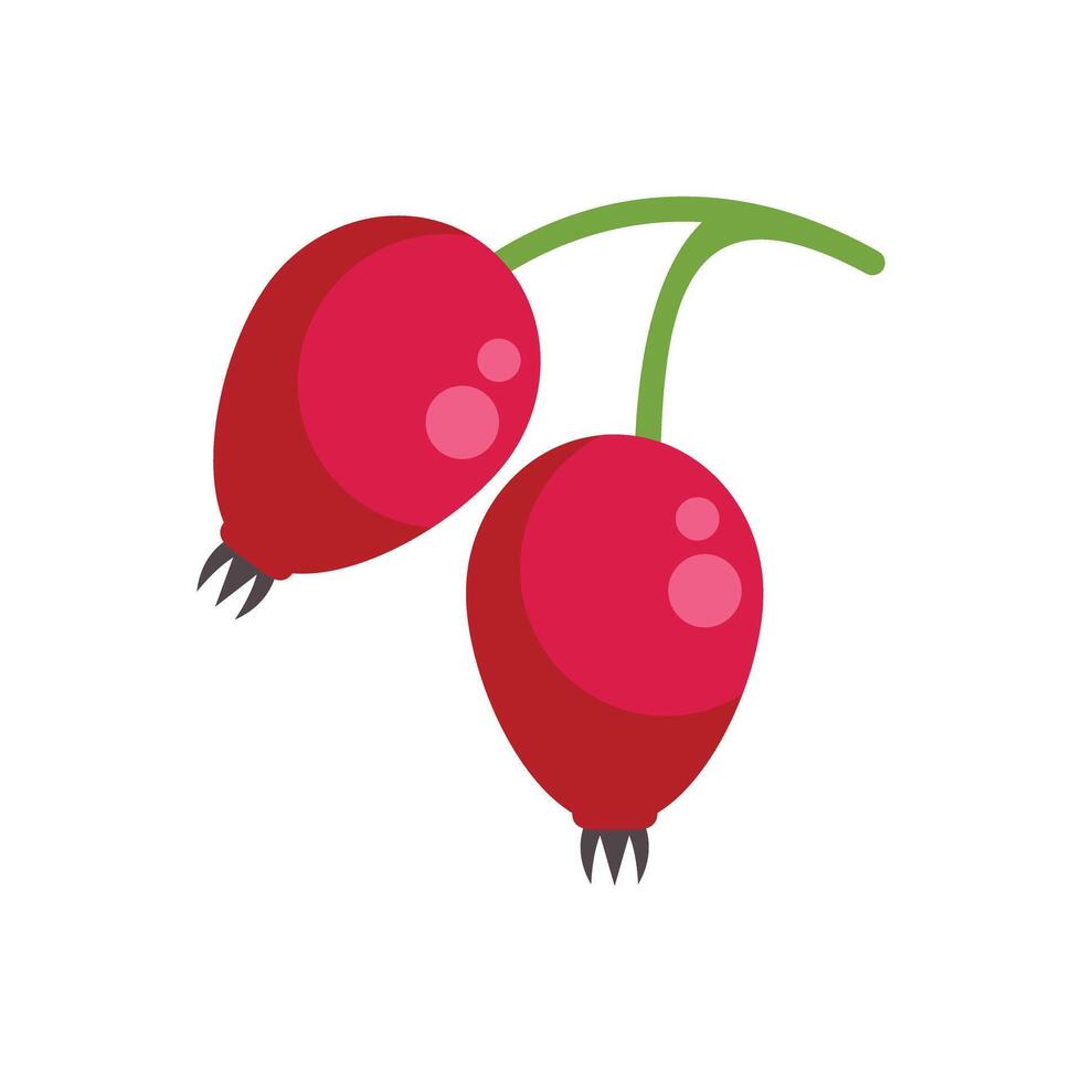 Two red rose hips hanging from green stem vector