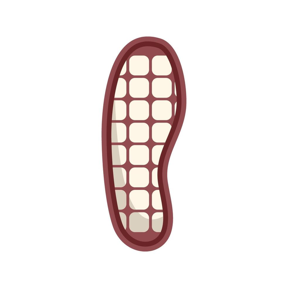 Orthopedic insole showing its bottom isolated on white background vector