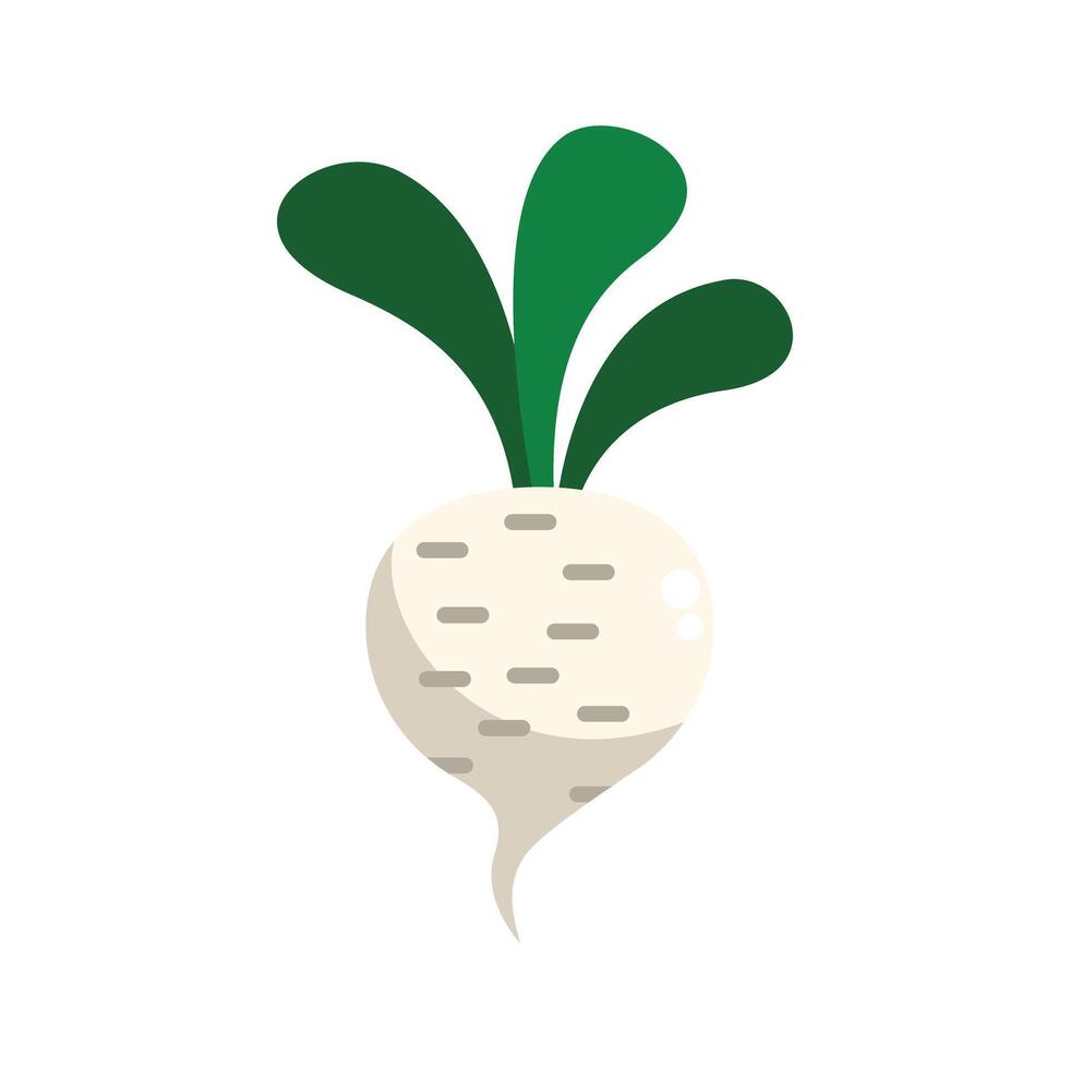 White radish vegetable growing with green leaves icon vector