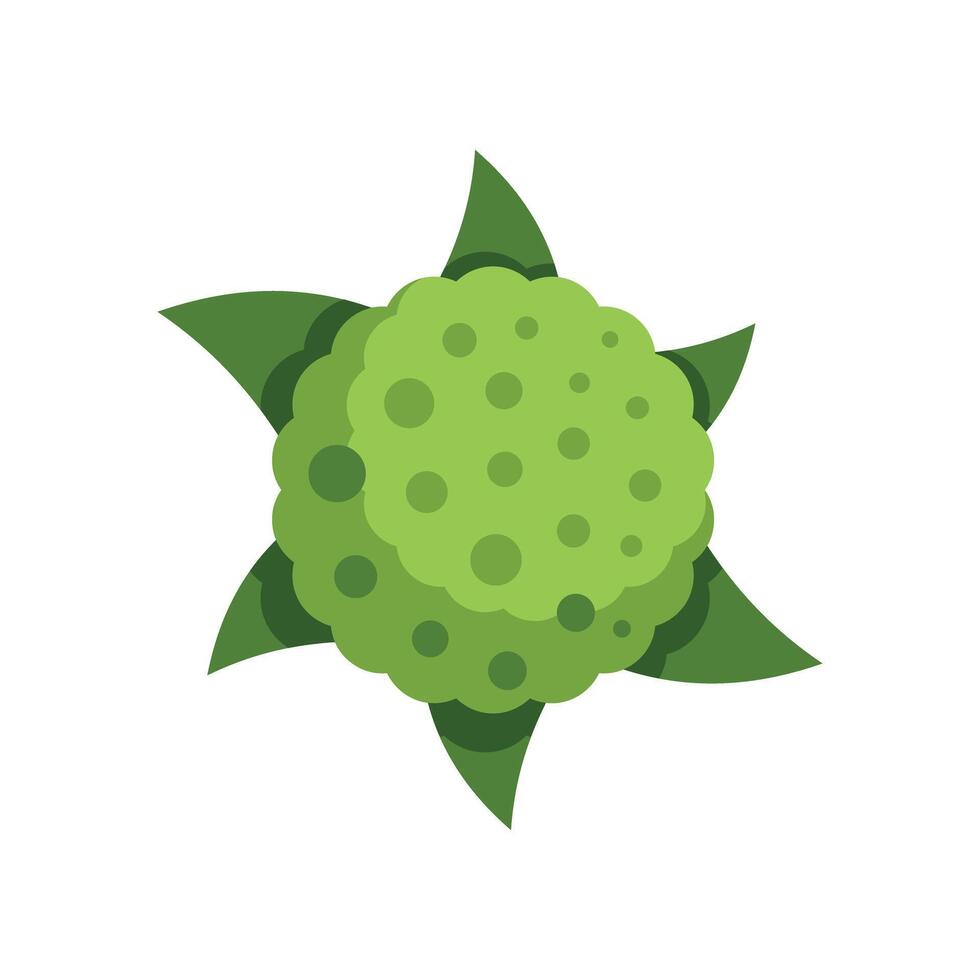 This top view green bush is a great design element for games and mobile apps vector