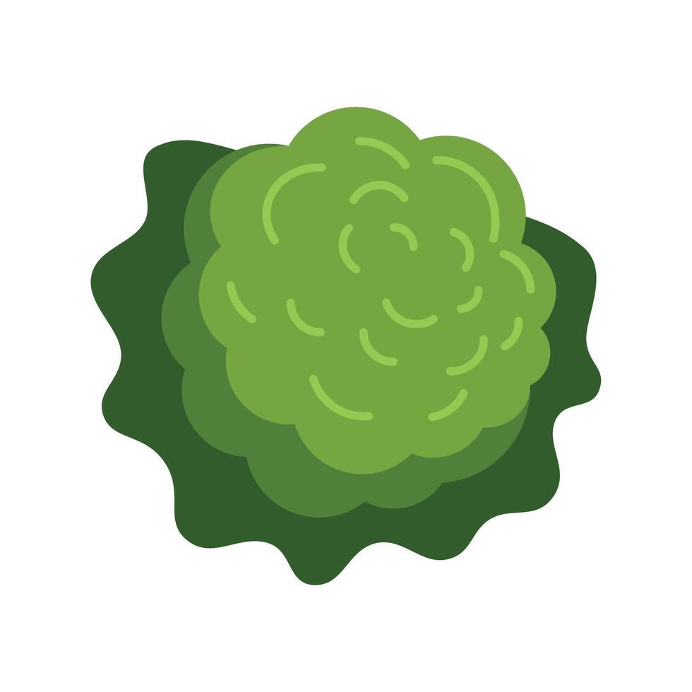Green round bush growing on top view position vector