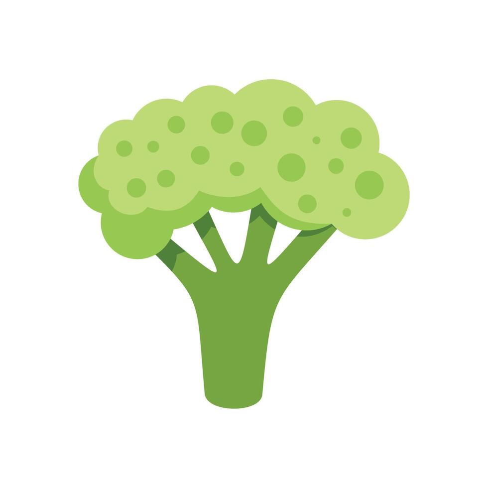 Fresh green broccoli illustration with white background vector