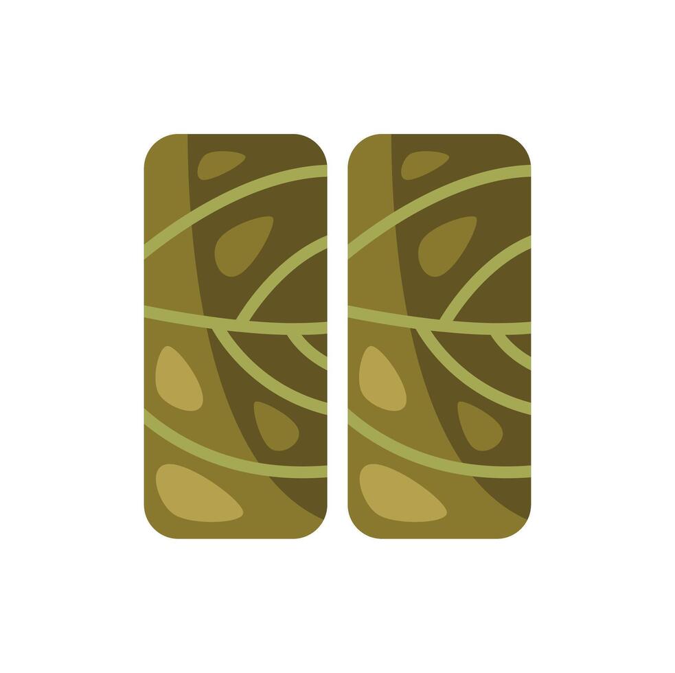 Two dolmas stuffed grape leaves filled with rice and herbs vector
