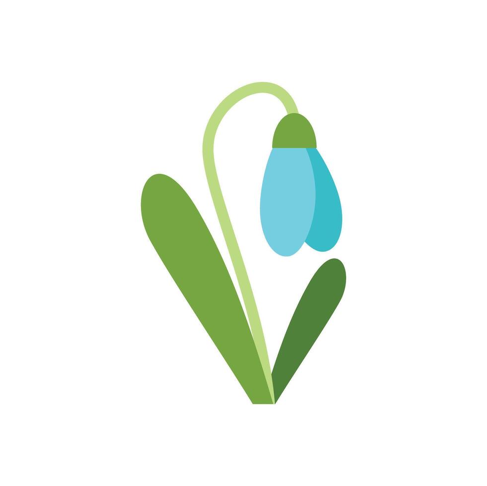 Single blue snowdrop flower blooming with green leaves vector