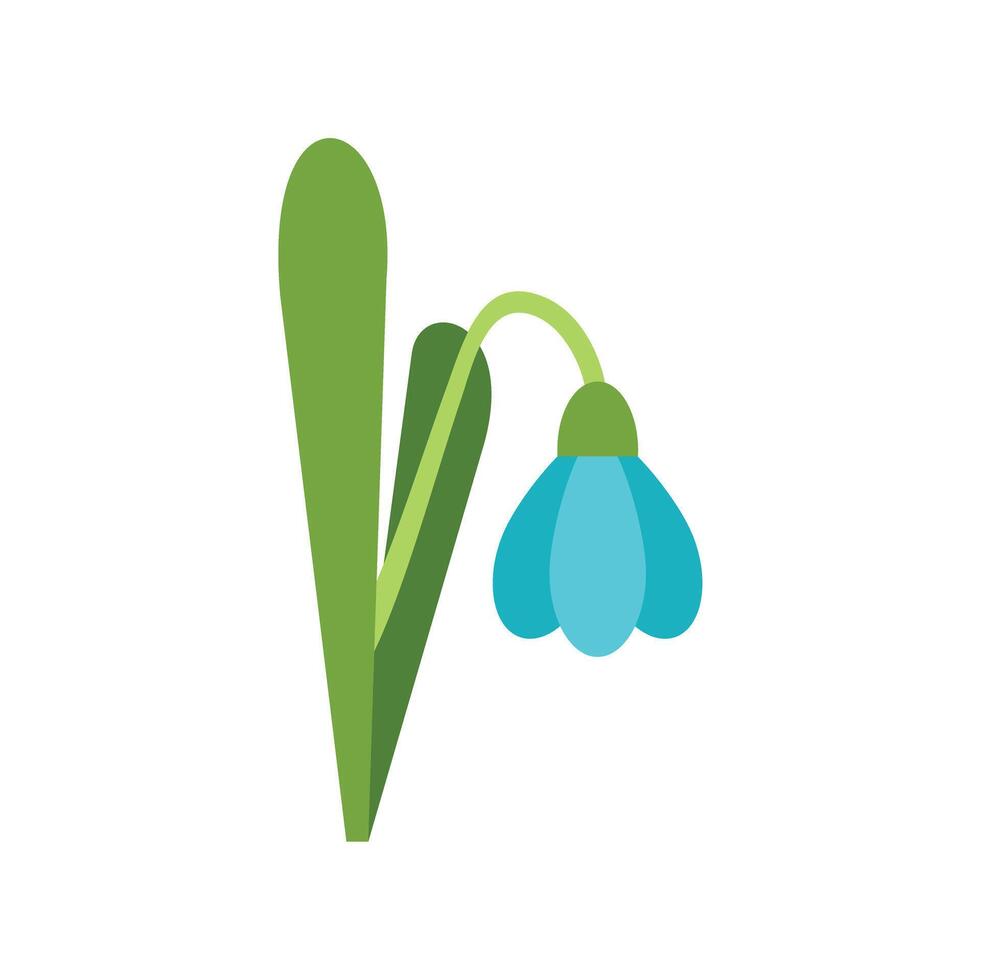 Single blue snowdrop flower blooming in springtime vector