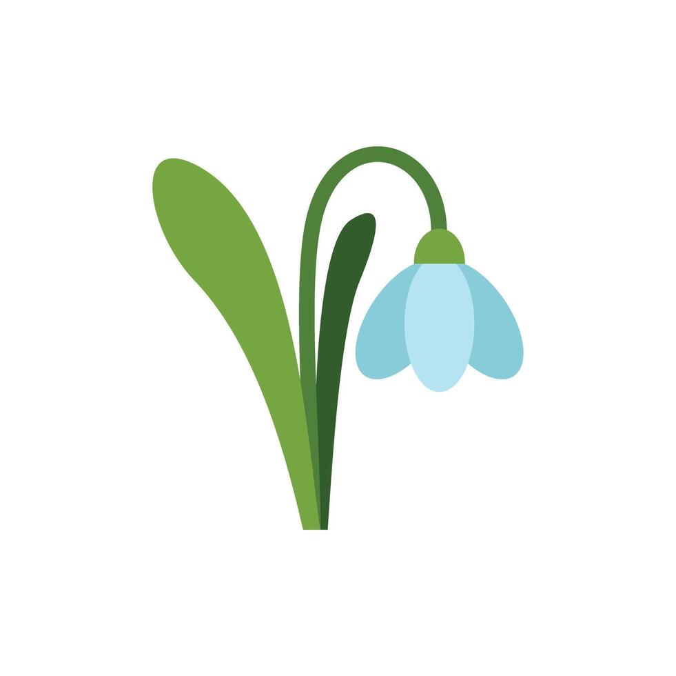 Blue snowdrop flower blooming in springtime vector