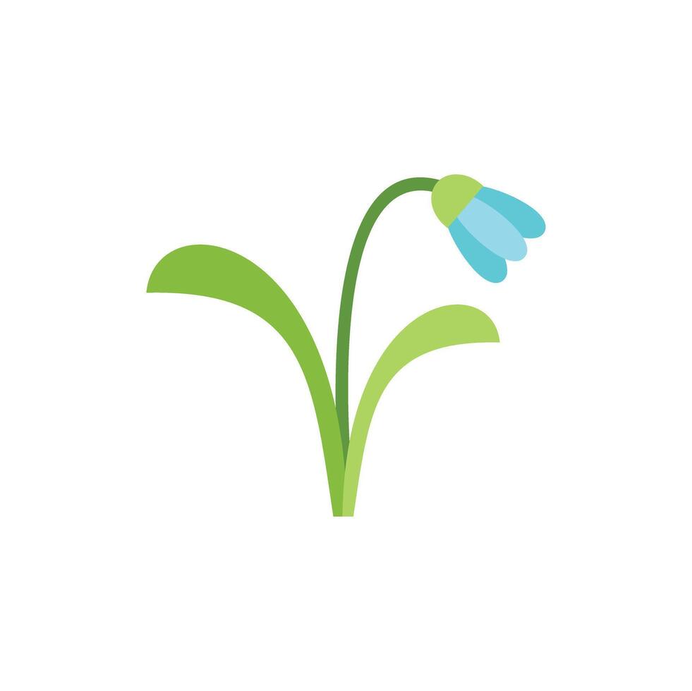 Blue snowdrop flower blooming in spring illustration vector