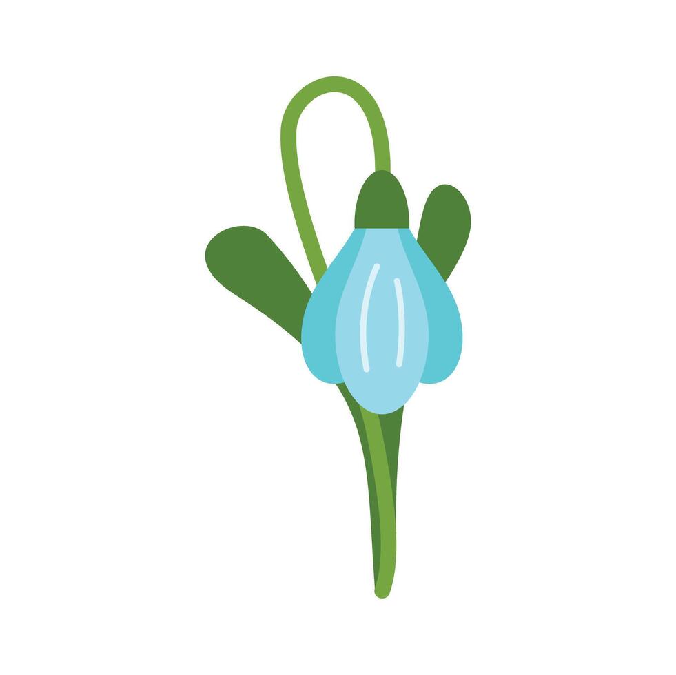 Blue spring flower snowdrop blooming from ground vector