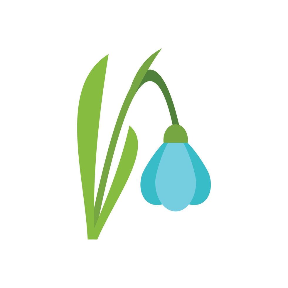 Blue snowdrop flower blooming in springtime vector