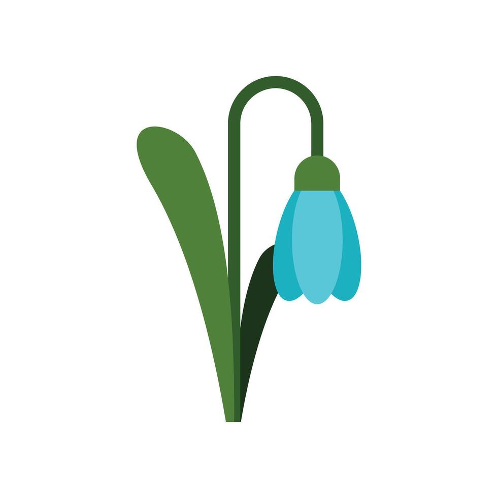 Blue snowdrop flower blooming in springtime vector